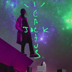 Travis Scott - Tourist