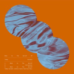 Extraction - Tommy Sunsets [QRUK004]