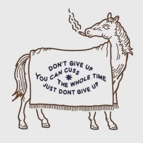 Learning To Fly (Tom Petty & The Heartbreakers cover)