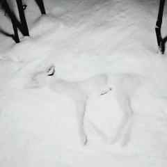 Одна w druc (prod. tylo)