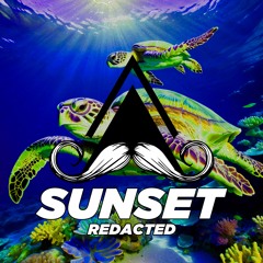 Redacted - Sunset (Original Mix) [MUSTACHE CREW RECORDS]