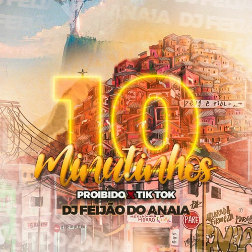 10 MINUTINHO + BÔNUS - PROIBIDO TIKTOK - DJ FEIJÃO DO ANAIA