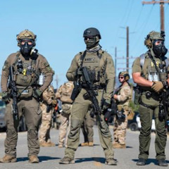 Sounds From The Police State