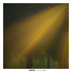 MARION - Summer Walk