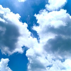 Từ Cửu Môn Hồi Ức x Mạc Vấn Quy Kỳ