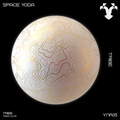 Space Yoda - Taka Dum (Radio Edit)