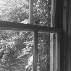 Strains in the Signal (2014)