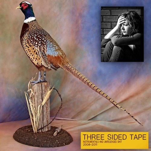 LIL UGLY MANE - THREE SIDED TAPE VOLUME TWO