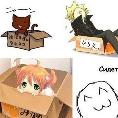 📦📦📦