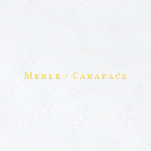 Amandra x Mattheis - Carapace (taken from the new album "Lettre Ouverte")