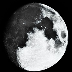 ttgrisdsmatête (ice climbers rmx)