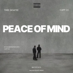 Peace of Mind (Remix)