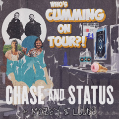 WHO'S CUMMING ON TOUR? - CHASE & STATUS + MOZEY + LUUDE