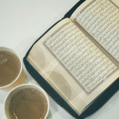 د.محمد رفعت