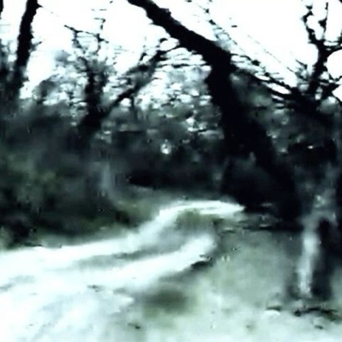 “i don’t know what’s wrong with me…” demo