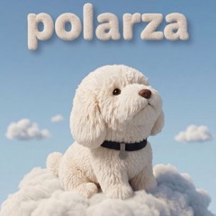 Sebi dj - Polarza (Original Mix)