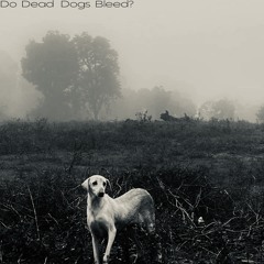 Do Dead Dogs Bleed?