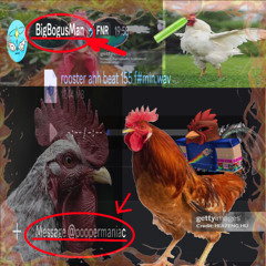 rooster ahh beat 155 f#min.wav