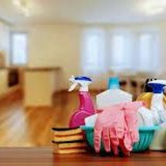 Benefits of Using Eco-friendly Products for End of Lease Cleaning