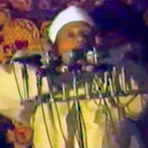 « يا أيها الذين آمنوا توبوا إلى الله توبة نصوحا » من روائع الشيخ عبد الباسط رحمه الله