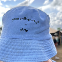 House #1 24/9/24.wav