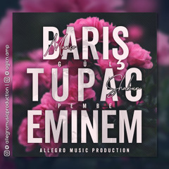 Allegro & Barış Manço FT.2PacShakur & Eminem - Gül Pembe