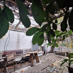 I LIKE A SLOW QUIET RAVE.m4a