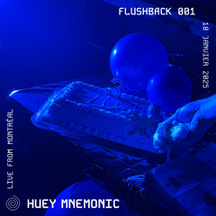 Flushback 001 | Huey Mnemonic