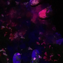 1 step forward, 3 steps back x lyssa