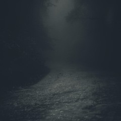 One More Step into Silence