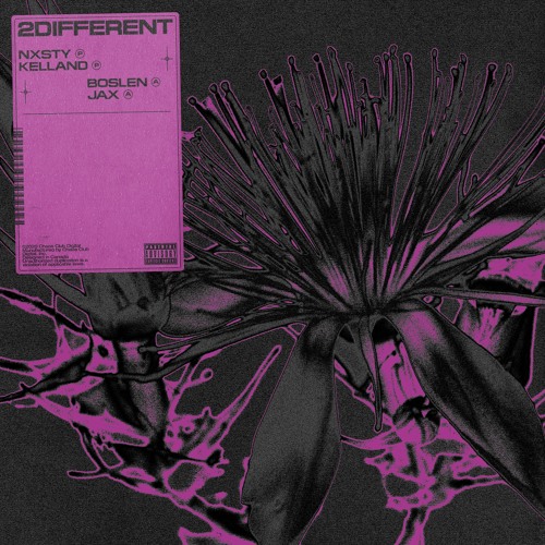 NXSTY & KELLAND - 2Different (feat. Boslen & Genocide Jax)