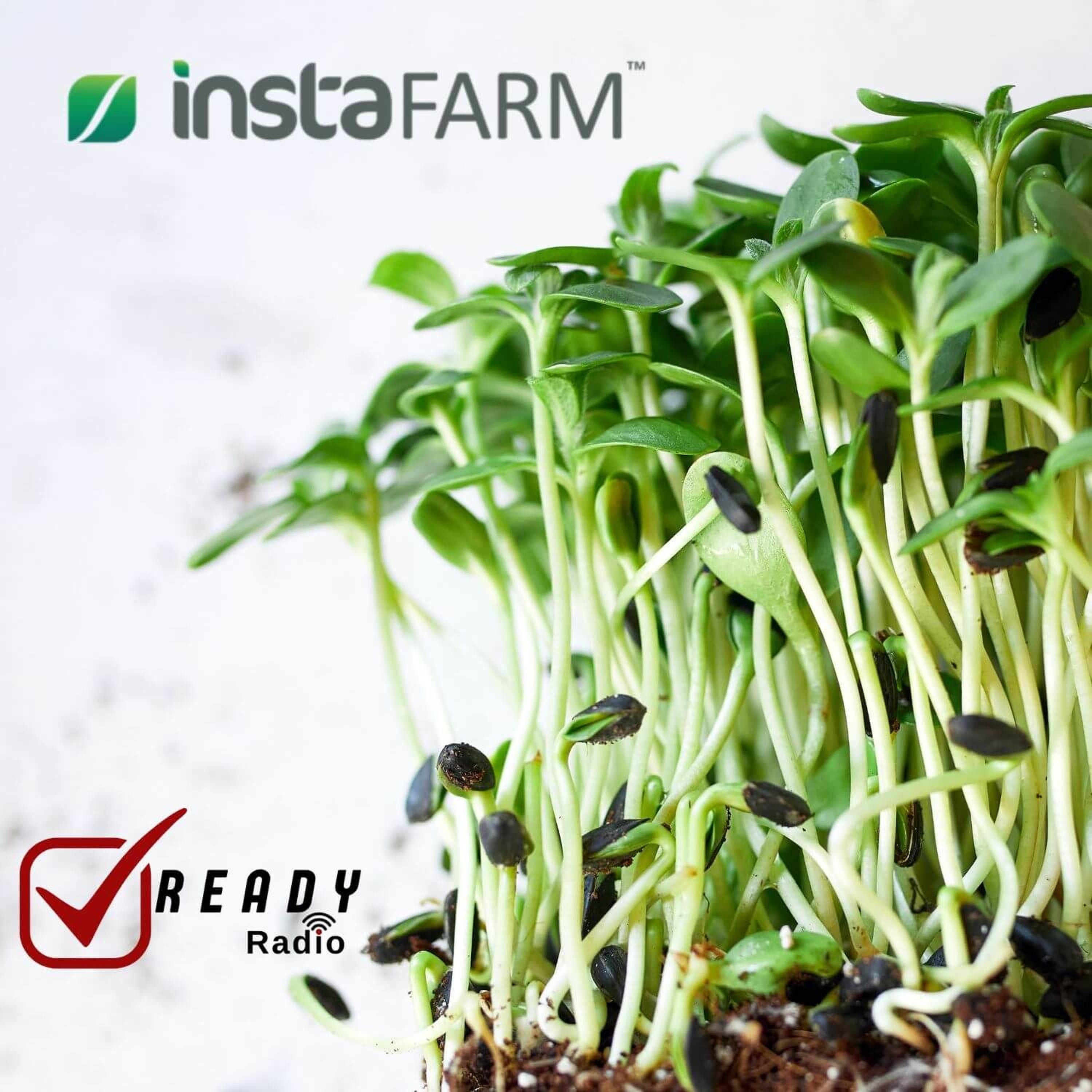 READY RADIO: Prep Smart: Microgreens, Senior Safety, and Essential Gear 10-25-24 episode artwork