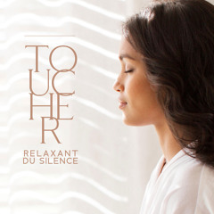 Lune de minuit argentée