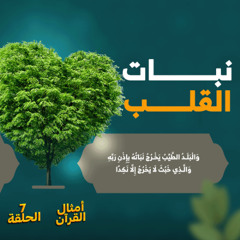 أمثال القرآن 07 | نبات القلب | د. رامي النحراوي
