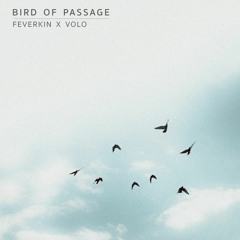Bird Of Passage w/ Volo