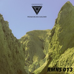 RMNS podcast 013 - Tulbure