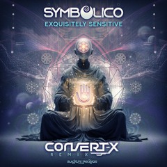 Exquisitely Sensitive (Convert-X Remix)