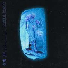 ANIMAL HACK & EASTOKLAB - ICE RED