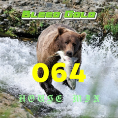 Bleed Gold - House mix 064