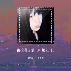 想早睡 - 山楂树之恋 (DJ版X1.1)「你是一只飞鸟飞上我的树梢 从此我乏味的生活变得热闹」【動態歌詞/pīn yīn gē cí】#想早睡 #山楂树之恋 #動態歌詞