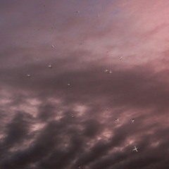 freezed asf [p. ThenotexisT]