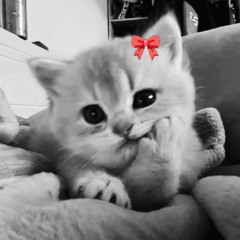 Cassette Tape Memories