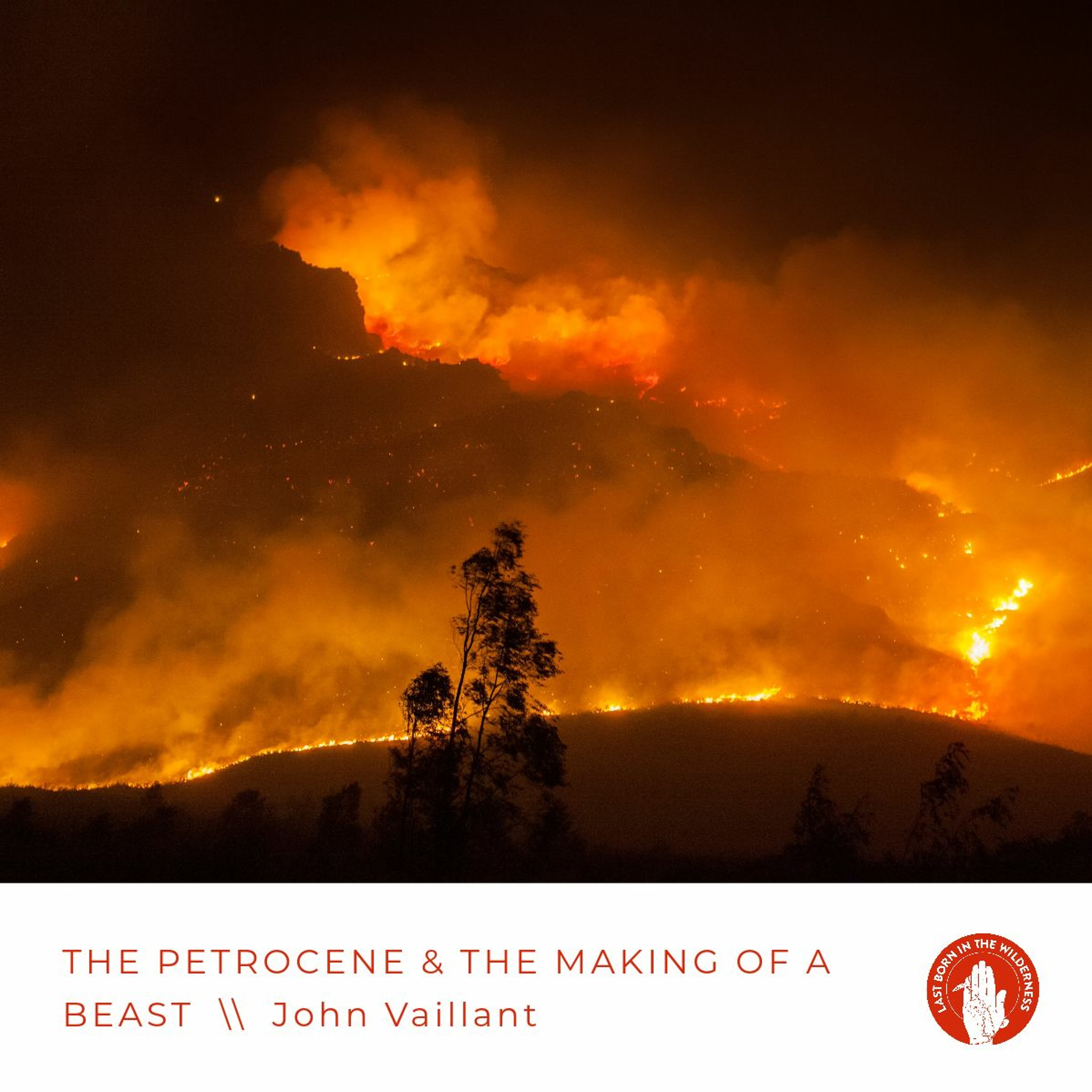 John Vaillant: The Petrocene & The Making Of A Beast