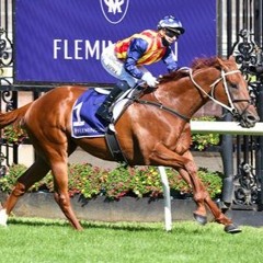 Lightning Stakes Day Review
