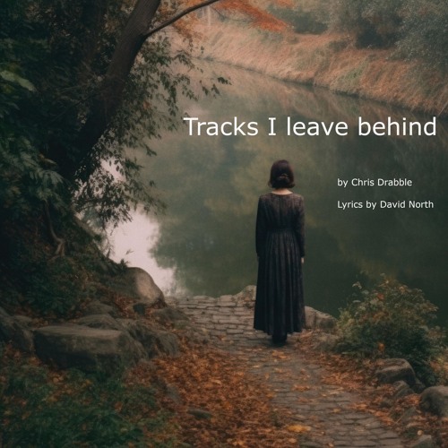 Tracks I leave behind
