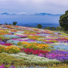 wanted-hunter hayes-Piano Cover