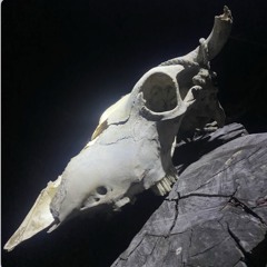 (Intro) Poor “Demon”