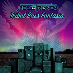 Tribal Bass Fantasia (Deep House Mix)