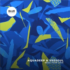 HSM PREMIERE | Aquadeep & Veesoul - Take Me Away (Soulified Mix) [Blur Records]