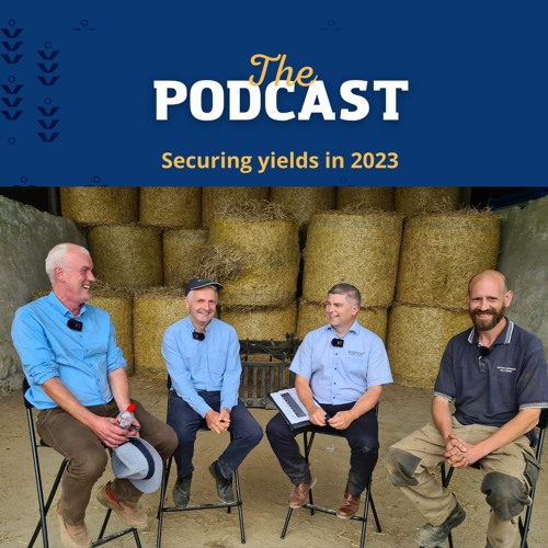 Seedtech Podcast Tips For Sowing WOSR with Tim O'Donovan, Richie Hackett, Jim O'Neill and Pat Nugent